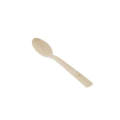 Bamboe Lepel Bio 170mm (100 stuks)
