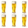 Hertog Jan Embost glas (6x 25cl)