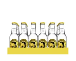 Thomas Henry Tonic Water Flesje (24x 20cl)